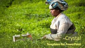  Presentation with munnar - 