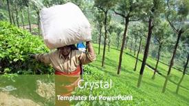  Presentation with munnar - 