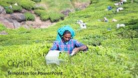  Presentation with munnar - 