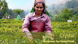  Presentation with munnar - Cool new slides with munnar-india-february-13-woman backdrop and a  colored foreground