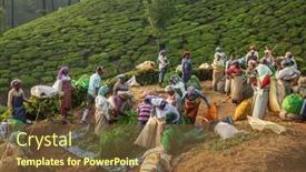  Presentation with women india - Slide deck having munnar-india-january-28-2020 background and a tawny brown colored foreground