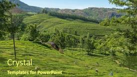  Presentation with january - Theme with munnar-india-january-28-2020 background and a tawny brown colored foreground