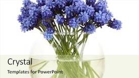  Presentation with vat value added tax isolated - Slide deck enhanced with muscari - hyacinth in vase isolated on white background and a soft green colored foreground