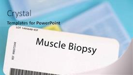  Presentation with muscle - PPT theme enhanced with muscle-biopsy-a-small-piece background and a light blue colored foreground