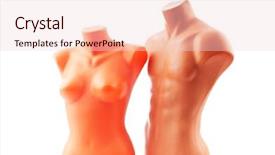  Presentation with monarch butterfly isolated on white - Amazing slide set having muscle physiology - clothing mannequins isolated on white backdrop and a lemonade colored foreground