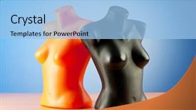  Presentation with blank whiteboard isolated on white - Theme having muscle physiology - clothing mannequins isolated on white background and a light blue colored foreground