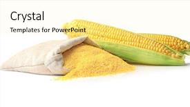  Presentation with bag - Slides with mush - bag with cornmeal and corncobs background and a  colored foreground
