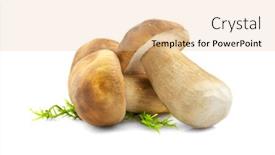  Presentation with organic cooking - PPT theme consisting of mushroom-boletus-isolated-on-white background and a lemonade colored foreground