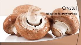  Presentation with champignon mushroom - Slides having fresh mushroom champignon isolated background and a lemonade colored foreground