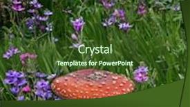 Presentation with fantasy - Presentation with make believe - mushroom floral fantasy backdrop background background and a tawny brown colored foreground