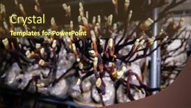  Presentation with farm - Cool new presentation with mushroom-ganoderma-in-the-farm backdrop and a tawny brown colored foreground