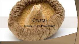  Presentation with mushroom - PPT layouts enhanced with mushroom isolated on white background background and a  colored foreground