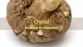  Presentation with mushroom - PPT theme featuring mushroom isolated on white background background and a  colored foreground