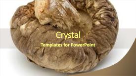  Presentation with frames isolated on white brown - Audience pleasing slide deck consisting of mushroom isolated on white background backdrop and a tawny brown colored foreground