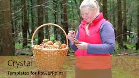  Presentation with outdoor activities - Slide set consisting of mushroom-picker-woman-with-full background and a gold colored foreground