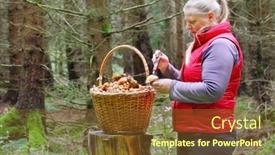  Presentation with outdoor activities - PPT layouts having mushroom-picker-woman-with-full background and a tawny brown colored foreground
