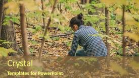  Presentation with hike forest - Audience pleasing slides consisting of mushroom-picking-during-hike backdrop and a tawny brown colored foreground