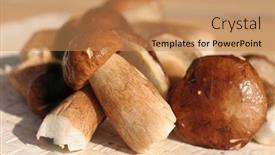  Presentation with mushroom - Amazing theme having hallucinate - mushroom backdrop and a coral colored foreground