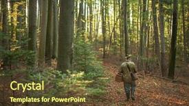  Presentation with mushroom - Presentation design featuring mushroomer collect mushroom on forest background and a tawny brown colored foreground