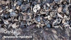  Presentation with pharma engineering drying - Cool new presentation with mushrooms drying in the sun backdrop and a  colored foreground