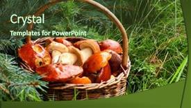  Presentation with mushrooms - Presentation having mushrooms in basket close up with shalow dof background and a tawny brown colored foreground