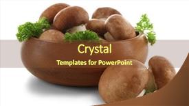  Presentation with mushrooms - Presentation theme consisting of mycelium - mushrooms in bowl isolated background and a tawny brown colored foreground