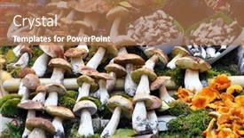 Presentation with mushrooms - Slides having mushrooms-in-the-market background and a coral colored foreground