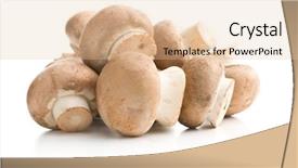  Presentation with oyster mushrooms fresh mushrooms - Slide set enhanced with mushrooms isolated on white background background and a  colored foreground