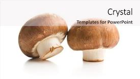 Presentation with mushrooms - Cool new theme with mushrooms isolated on white background backdrop and a white colored foreground