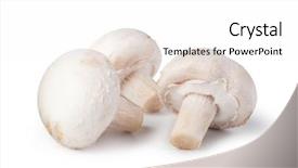  Presentation with mushrooms - Audience pleasing PPT theme consisting of mushrooms isolated on white background backdrop and a white colored foreground