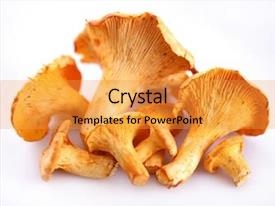 Mushrooms Objects On White Background PPT template 57 | CrystalGraphics