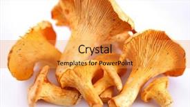  Presentation with mushrooms - Presentation featuring mushrooms objects on white background background and a gold colored foreground