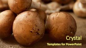  Presentation with natural product cancer - Colorful presentation theme enhanced with mushrooms on a natural tablecloth backdrop and a tawny brown colored foreground