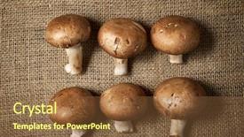  Presentation with natural product cancer - Presentation theme consisting of mushrooms on a natural tablecloth background and a tawny brown colored foreground