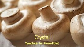  Presentation with tablecloth for the menu - Amazing slide set having mushrooms on a white tablecloth backdrop and a tawny brown colored foreground