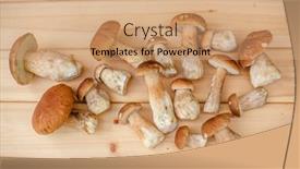  Presentation with healthy soup - PPT layouts having mushrooms-on-a-wooden-background background and a coral colored foreground