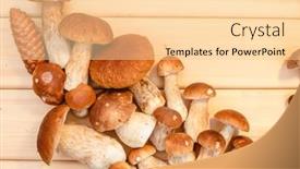  Presentation with healthy soup - Audience pleasing slide deck consisting of mushrooms-on-a-wooden-background backdrop and a blonde colored foreground