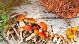  Presentation with mushrooms - Beautiful PPT theme featuring mushrooms on wooden background card backdrop and a red colored foreground
