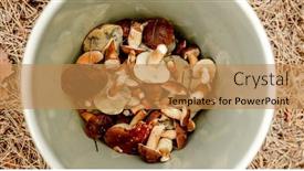  Presentation with season - PPT theme enhanced with mushrooms-season-bucket-with-boletus background and a gold colored foreground