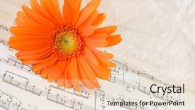  Presentation with flowers - Audience pleasing theme consisting of music arrangement - flowers and notes backdrop and a lemonade colored foreground