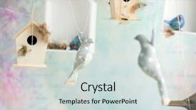  Presentation with vintage music - Presentation enhanced with music congratulations - vintage background with birds background and a sky blue colored foreground