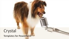  Presentation with radio station air vintage microphone - Amazing presentation theme having music theme - portrait of dog singing backdrop and a lemonade colored foreground