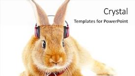  Presentation with music therapy - Slide deck consisting of music therapy - red rabbit with headphones isolated background and a white colored foreground