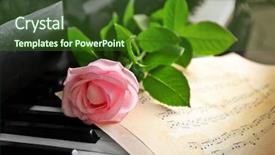  Presentation with pink rose - Presentation featuring musical notes and pink rose background and a tawny brown colored foreground