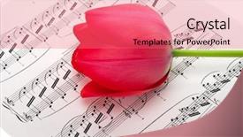  Presentation with music notes - Presentation theme having musical notes and tulip background and a  colored foreground