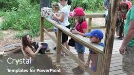  Presentation with mermaid - 