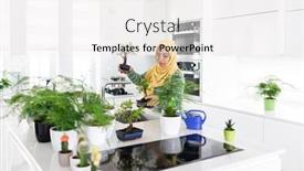  Presentation with plants - PPT theme consisting of muslim-housewife-at-home-watering background and a white colored foreground