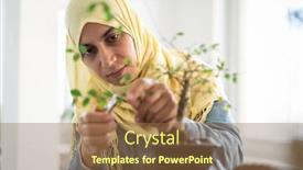  Presentation with role play woman and man - Amazing theme having muslim-woman-trimming-small-plant backdrop and a tawny brown colored foreground