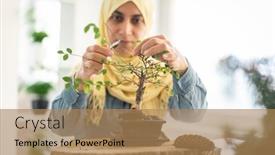  Presentation with woman muslim - PPT layouts consisting of muslim-woman-trimming-small-plant background and a coral colored foreground