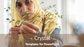  Presentation with role play woman and man - Colorful PPT layouts enhanced with muslim-woman-trimming-small-plant backdrop and a tawny brown colored foreground
